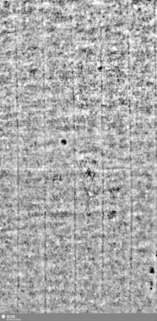 Lilienschild + IESV / LW = S.3/4+47/48
