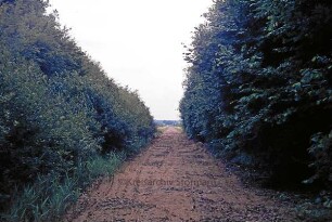Bad Oldesloe: Stillgelegte Strecke