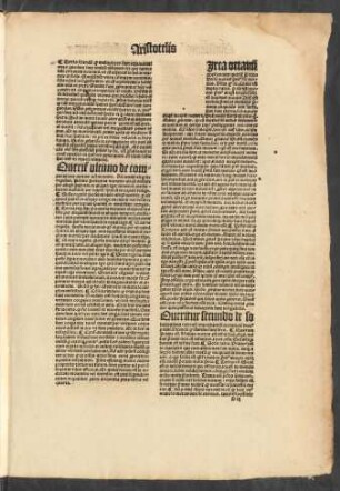 [C]irca octavum physicorum ...