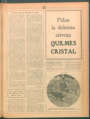 Apuntes para la biografía del gato