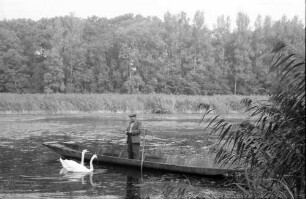 Wörth: Angler im Boot und zwei Schwäne