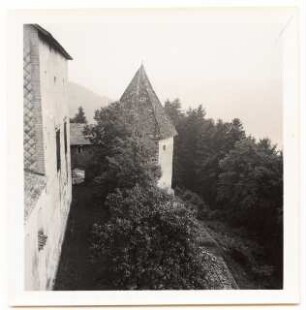Schloss Rannariedl, Neustift i.M.: Schloss mit Bäumen