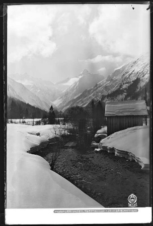 Allgäuer Alpen, Trettachspitze von Spielmannsau