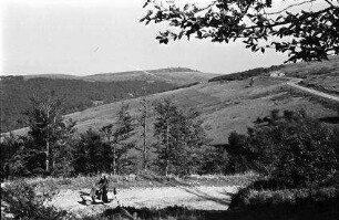 Vogesen: Routes des Crêtes, Blick mit Straße