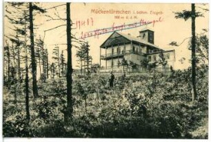 Mückenberg. Mückentürmchen