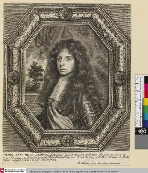 Henry Ivles de Bovrbon