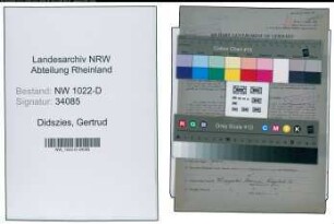Entnazifizierung Gertrud Didszies , geb. 12.04.1901 (Kauffrau)