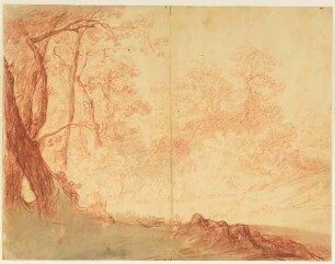 Waldlandschaft, links zwei hohe Bäume