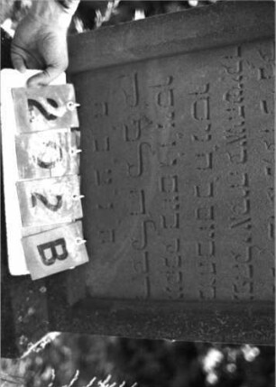 Grabstein 202 (Index: 99795968) Maße HxBxT: 172x54x17 cm Symbolik: Blüte: Grabstein 202B