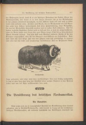 Die Kanadier.