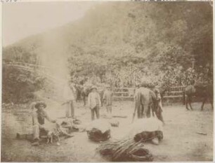 Bilder aus dem bolivianischen Urwald
