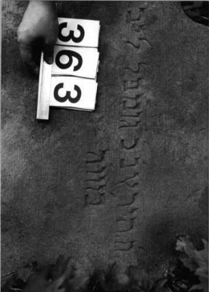 Grabstein 363 (Index: 99803573) Material: Sandstein Zustand: Vorne stark verwittert Maße HxBxT: 105x59x9 cm Beschreibung: Stele mit Karniesbogen: Grabstein 363 (Detailaufnahme)