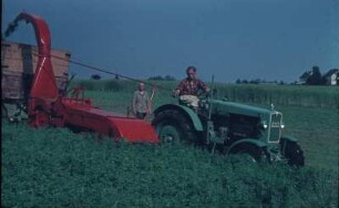 Feldhäcksler, Fahr, Grünguternte, Traktor, MAN
