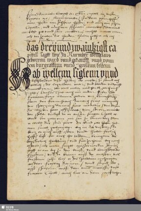 das dreyundzwainkigst capittell sagtt wie zu Nurmber wenzelaus geborenn ward vnnd getaufft