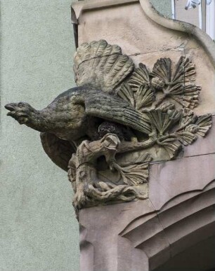 Auerhahn