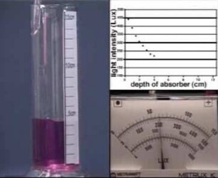 Absorption and Scattering of Light