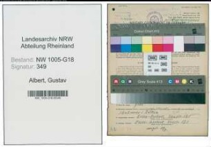 Entnazifizierung Gustav Albert , geb. 02.02.1894 (Schuhmacher)