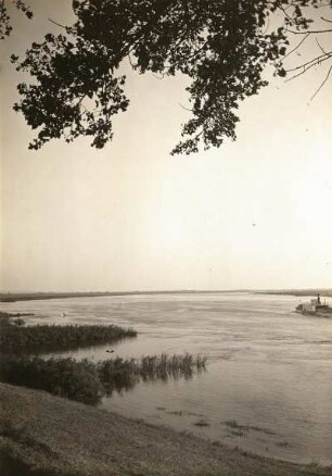 Weichsel bei Kurzebrack (heute Korzeniewo / Polen) westlich von Marienwerder. Blick stromaufwärts