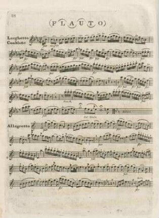 Flauto (Trio V, Larghetto, Allegretto)