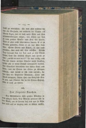28. Der singende Knochen