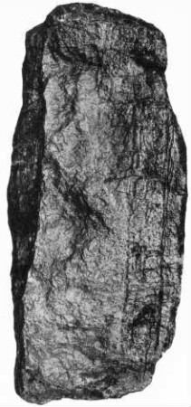 Uaxactun, Stela 14 (UAX: St. 14)