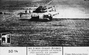 Mit drei Class Mäh-Dresch-Bindern in Sommergerste bei Halle/Sa (Man beachte die geraden Strohreihen)