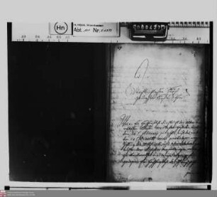 Zahlung der Wittums- und Alimentationsgelder an die Fürstinwitwe Albertine Agnes von Nassau-Diez sowie an die Fürstinwitwe Henriette Amalie von Nassau-Diez und ihre Töchter aus Einkünften des Fürstentums Diez