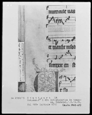 Antiphonarium de Tempore (Zisterzienserhandschrift) — Initiale U (t), Folio 193 verso