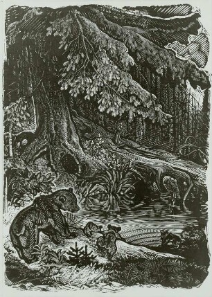 Lache im Wald (aus der Serie: Verstecke im Wald)