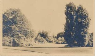 Kurpark (Landschaftspark)