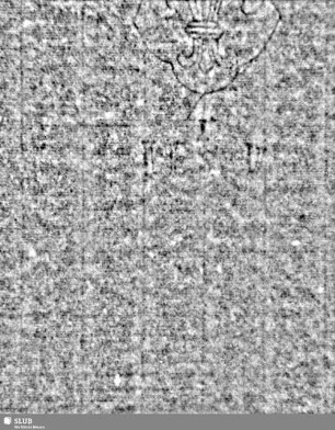 Lilienschild + IESV / LW = S.23/24