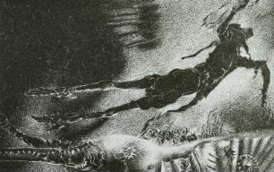 Illustration zu P. Louys "Der Teufel ist ein Weib"