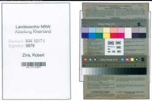 Entnazifizierung Robert Zins , geb. 07.05.1920 (Kraftfahrer)