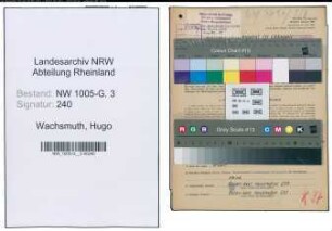 Entnazifizierung Hugo Wachsmuth , geb. 01.01.1911 (Techniker)