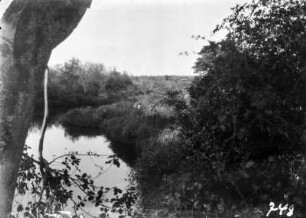 Landschaft am Fluss Letaba : Flusslandschaft mit Vegetation