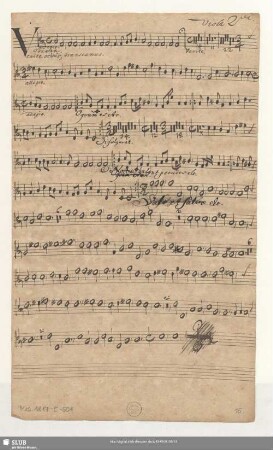 Viola 2da.