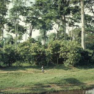 Bechem