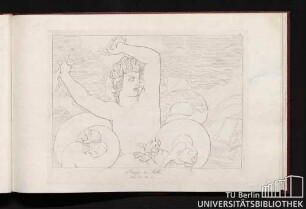 Image de Scilla. Hom. Ody. Ch. 12