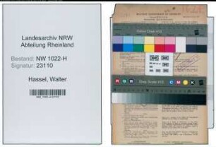 Entnazifizierung Walter Hassel , geb. 05.06.1903 (Kraftfahrer)
