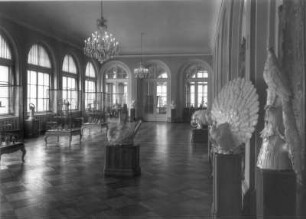 Dresden-Altstadt, Porzellansammlung im Zwinger. Saal der Meißner Porzellanfiguren und der großen Tierplastiken