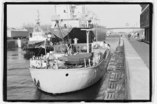 Hanfried (1961)