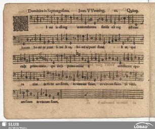11. Simile est regnum coelorum