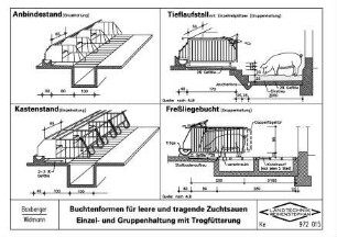 Buchtenformen für leere und tragende Zuchtsauen Einzel- und Gruppenhaltung mit Trogfütterung