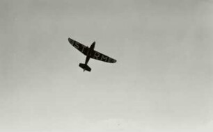 Flugplatz Dresden-Heller, Sturm"-Fliegerstaffel