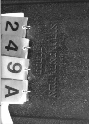 Grabstein 249 [Hahn S. 95 Grab-Nr. 896]: Grabstein 249A [Hahn S. 95 Grab-Nr. 896]