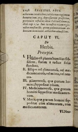 Caput VI. De Herbis.
