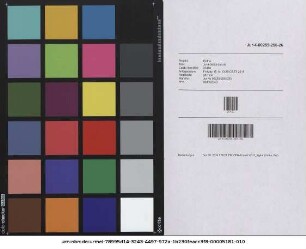 Disputatio Iuridica De Substitutionibus