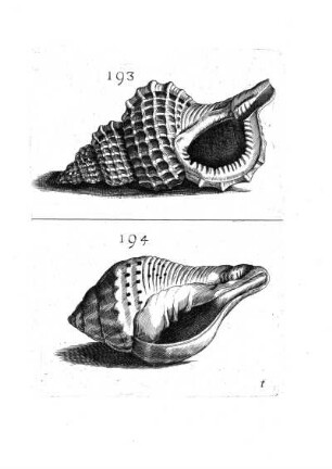 193. - 194.