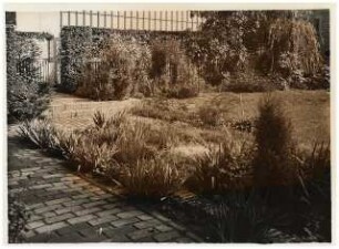 Garten Cordes, Potsdam: Garten am Wohnhaus mit Büro