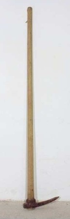 Pickel